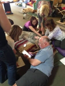 Canine Anatomy Palpation Class