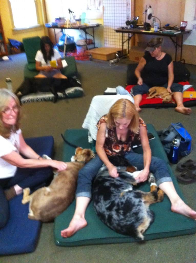 Students practicing canine massage on floor mats during an onsite workshop