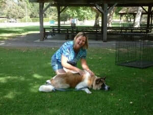 Canine Massage Class