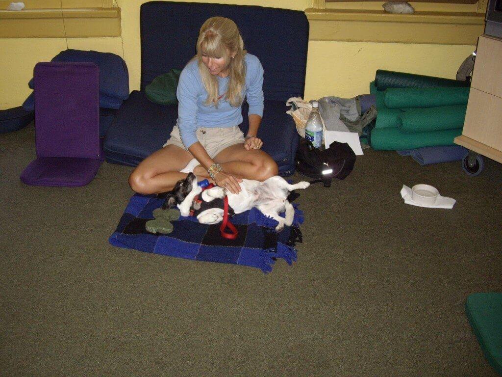 Canine Massage Class