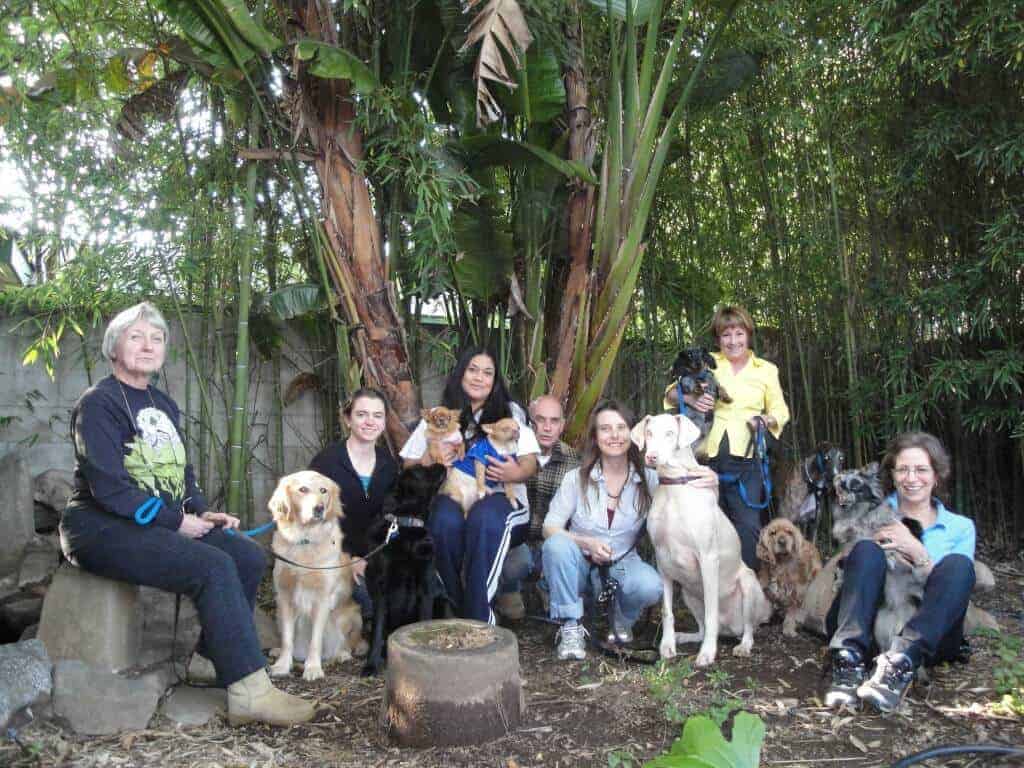 Students and dogs gathered outdoors under trees for a canine bodywork lesson