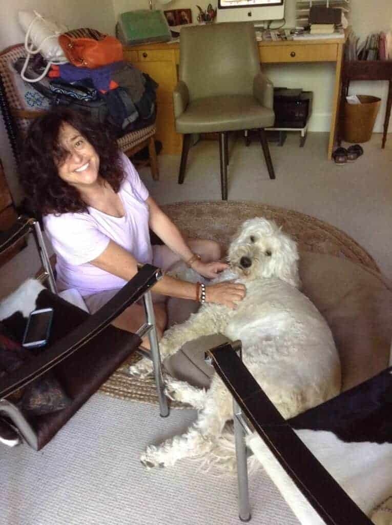 Dog Massage Instruction
