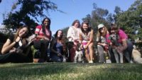 Group of students sitting on the grass with their dogs during a canine massage certification course