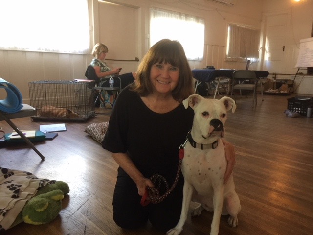 Student smiling with a happy white dog during onsite canine massage workshop