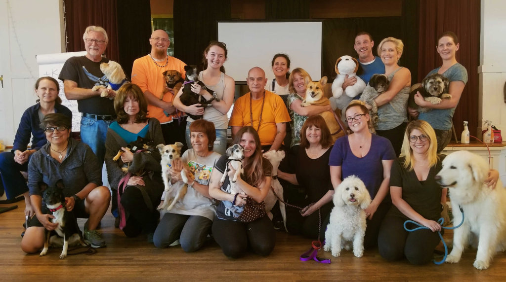 Canine Massage Certification 2016 Schedule