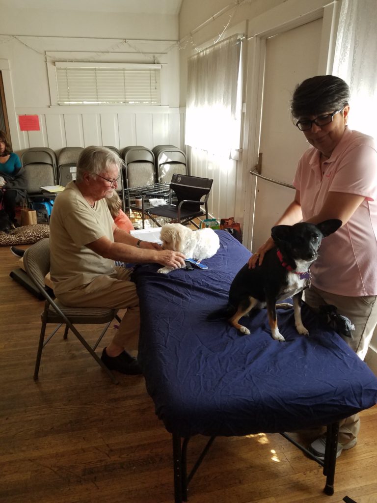 Student performing gentle leg stretches on a small dog during class