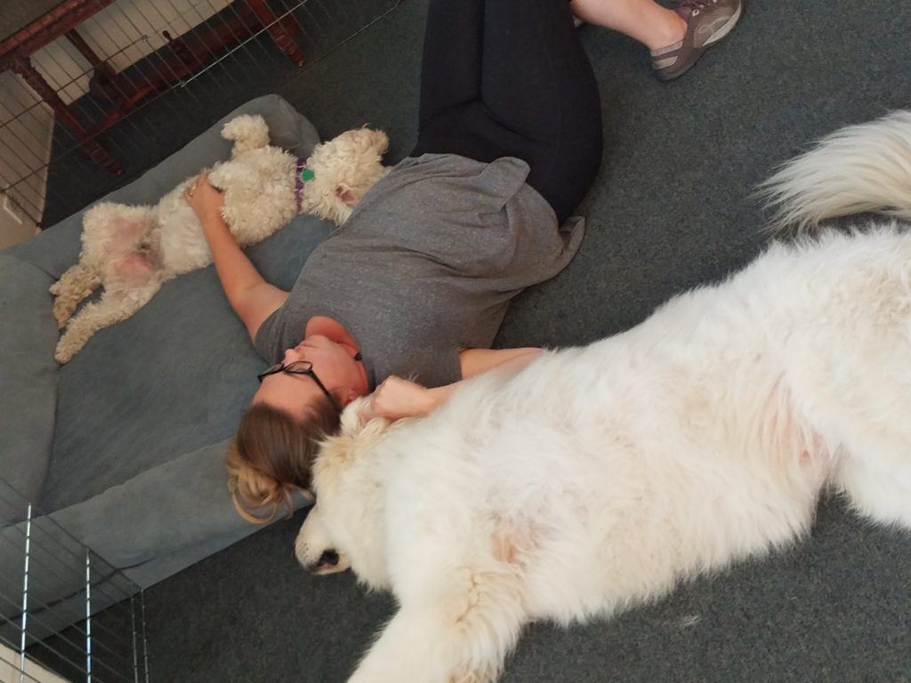 Student resting on mat alongside a relaxed, blissed-out white dog after massage session