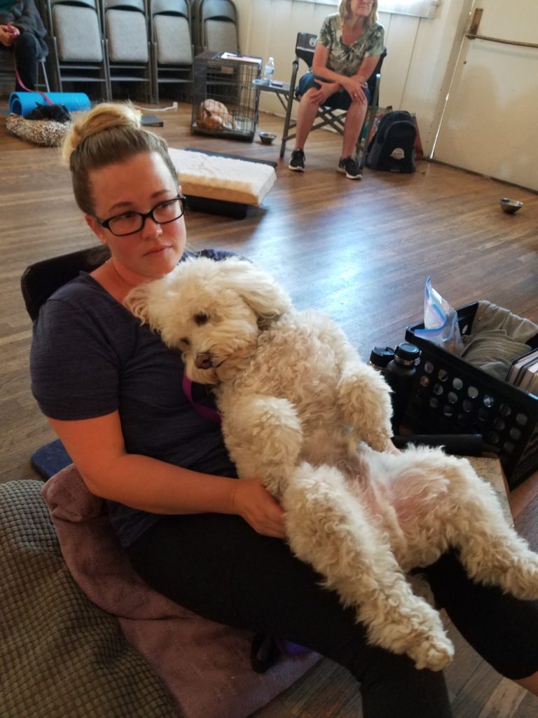 Canine massage student sitting on floor cuddling a happy white doodle dog