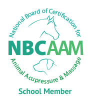 NBCAAM